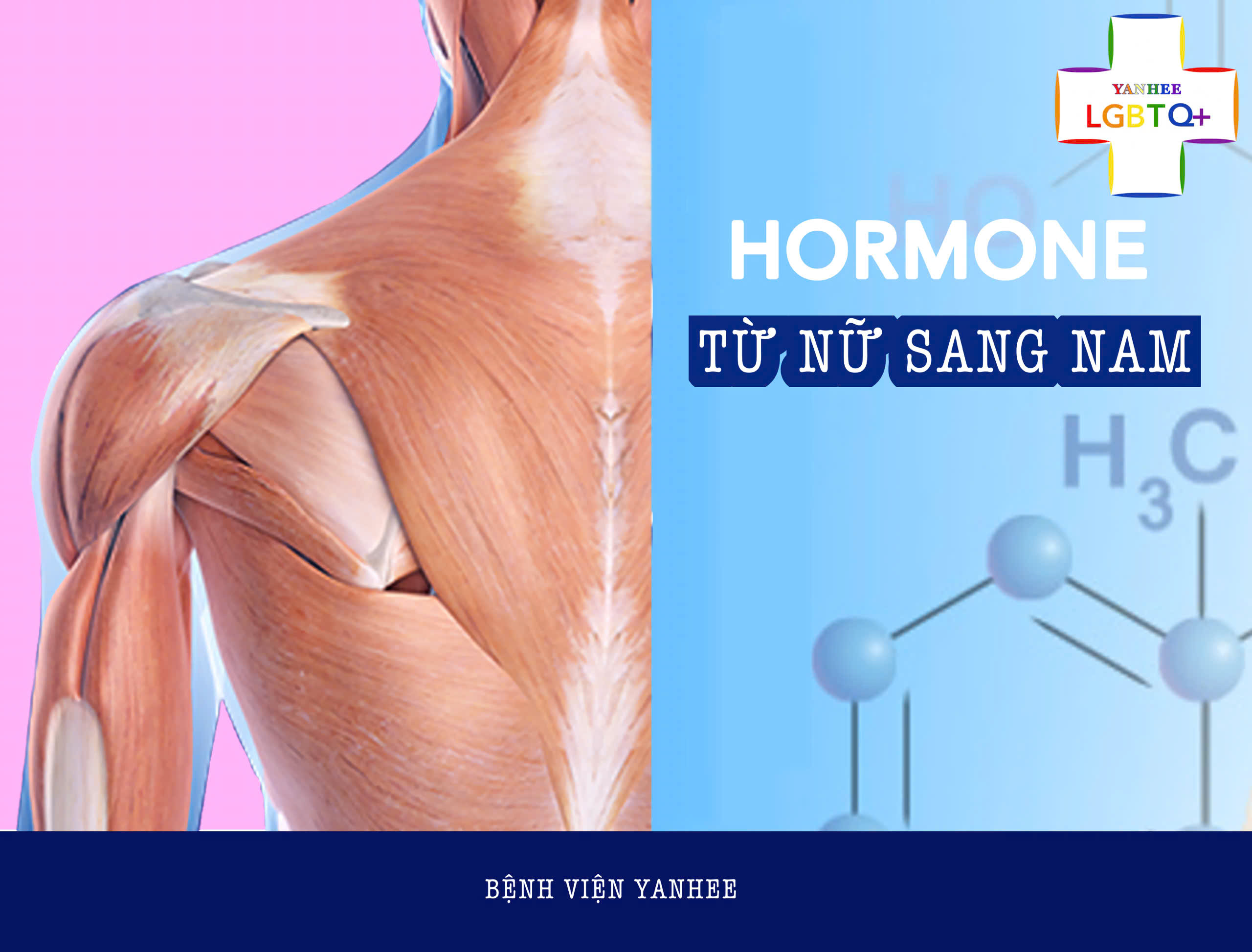 Hormone chuyển giới Nam