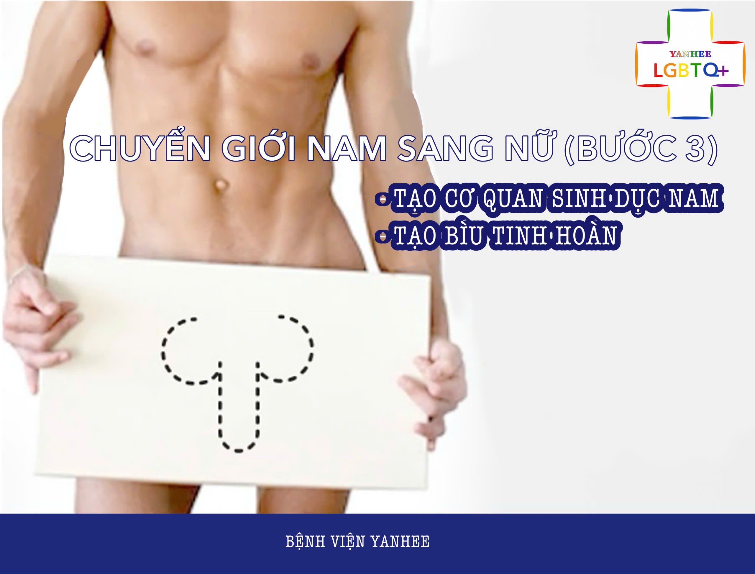 Tạo cơ quan sinh dục nam và bìu tinh hoàn (Bước 3)